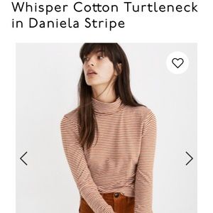 Whisper Cotton Turtleneck in Daniela Stripe